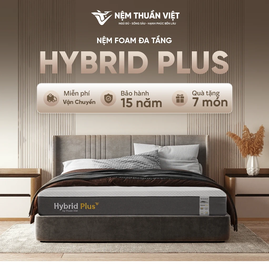HYBRID PLUS